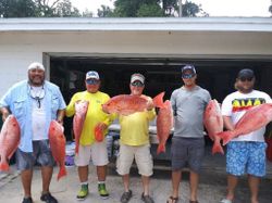 6 fishing in FL
