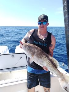 Gag grouper caught while fishing in FL