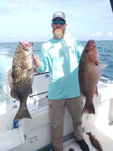 Two gag grouper and grey snapper fish caught in FL