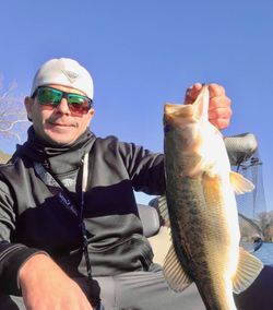 A person fishing in TX