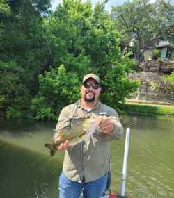 Largemouth bass caught while fishing in Austin