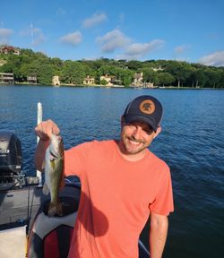 Largemouth Bass caught while fishing in Austin