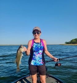 Lone angler fishing in Austin, Texas
