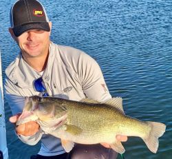 Largemouth bass caught while fishing in TX
