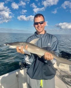 A huge Atlantic Sharpnose Shark caught on a fishing tour in Crystal River