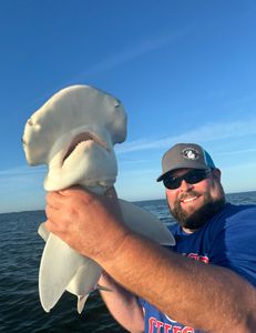 Crystal River fishing and tour adventure