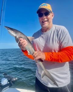 Angler fishing in FL