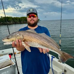 A fisherman stands in the Crystal River, ready for a great fishing adventure.