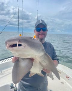 One angler catching a fish in the waters of Crystal River