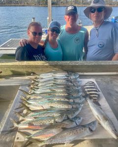 4 spanish mackerel fish caught in FL