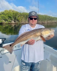 Redfish caught in FL