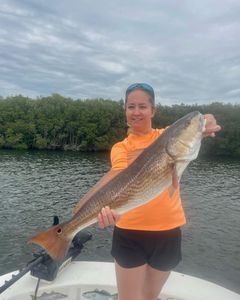 Redfish caught while fishing in Crystal River