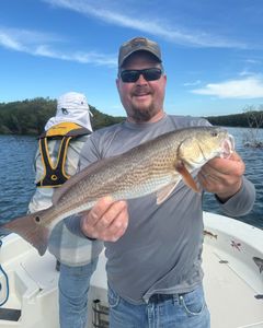 Redfish caught during fishing tour in Crystal River