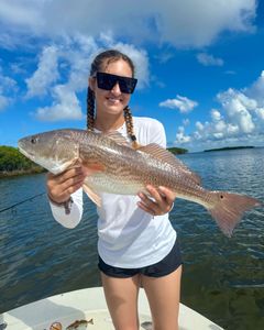 Redfish caught while fishing in FL