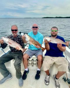3 redfish caught during a fishing tour in Crystal River