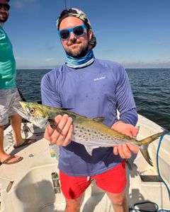 Spanish Mackerel, a big fish caught in FL