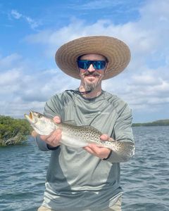 Spotted Weakfish, 16-inch catch in Crystal River