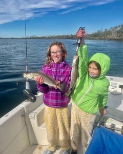 Two spotted weakfish, each about 16 inches long, caught in Crystal River