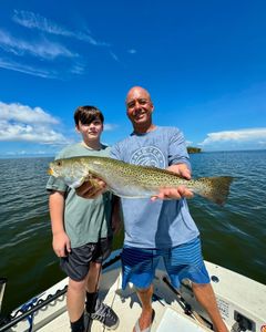 Spotted Weakfish, 32-inch fish caught during fishing tour in Crystal River