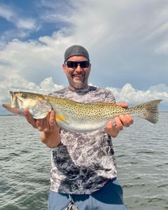 Spotted weakfish caught while fishing in FL