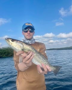 Spotted Weakfish, 25-inch fish caught in FL