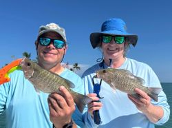 Two grey snapper fish caught during a fishing tour in FL