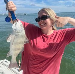 Angler with a black drum fish in FL