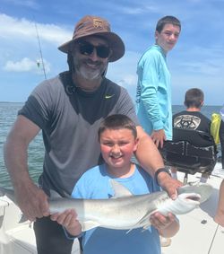 One bonnethead shark, a big 36-inch fish, caught during a fishing tour in FL.