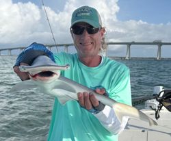 A beautiful view of Cape Coral, showcasing the best of fishing and tours in the area.