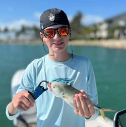A crevalle jack fish caught during a fishing tour in Cape Coral