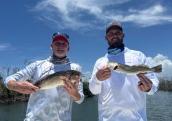 Two redfish and spotted weakfish caught in Cape Coral