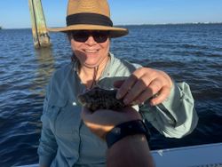 Angler fishing in the waters of FL