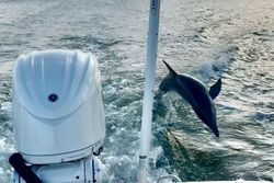 Fishing tour in Cape Coral