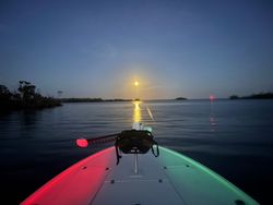 Fishing tour in FL