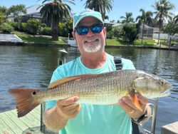 Angler catching a red redfish in Florida