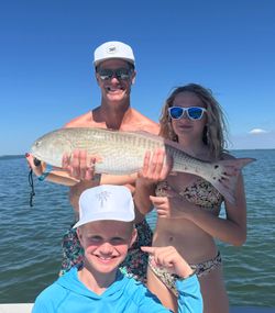 Redfish caught during a fishing tour in Cape Coral