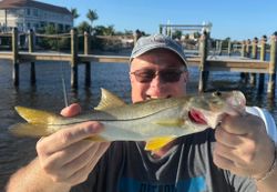 Snook fish caught while fishing in FL
