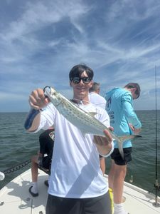 Spanish mackerel, 26 inch fish, fishing in Cape Coral