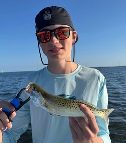 A spotted weakfish caught in Cape Coral