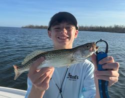 Spotted weakfish, 22 inches, caught in Cape Coral