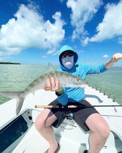  Islamorada, FL Bonefish