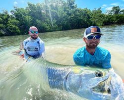 Top Rated Tarpon Fishing Charter in Islamorada