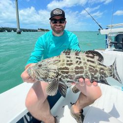 A big Black Grouper fish caught fishing in FL