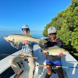 Two Snook and Grey Snapper fish caught in Islamorada