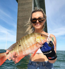 A Mutton Snapper fish caught in Islamorada