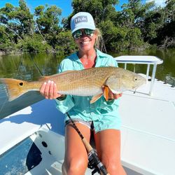 Redfish measuring 29 inches caught in Islamorada while fishing