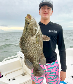Tripletail fishing in FL
