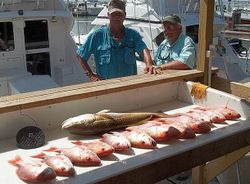 Inshore catch of the day
