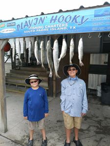 4 bluefish caught on fishing trip at South Padre Island