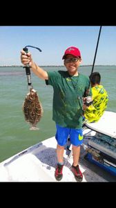 Southern Flounder fish caught in TX